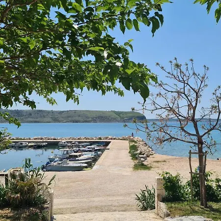 Kamp Miocic Rtina